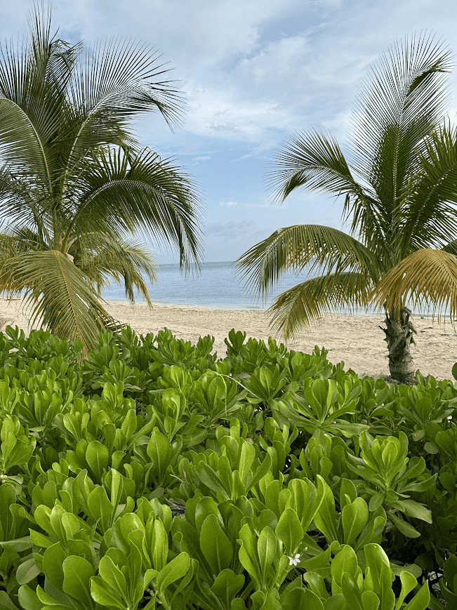 Jamaica All Inclusive Vacation Ideas